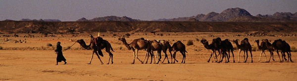 voyage algerie photo6