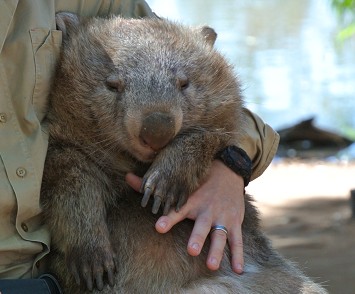 voyage australie photo22