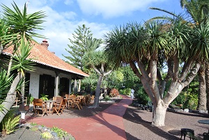 voyage canaries photo5