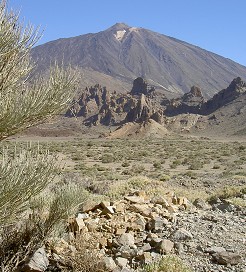 voyage canaries photo8