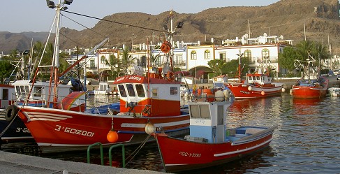 voyage canaries photo9
