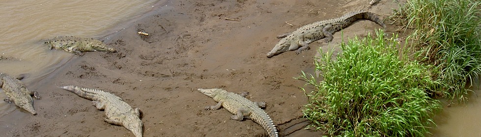voyage costa rica photo15