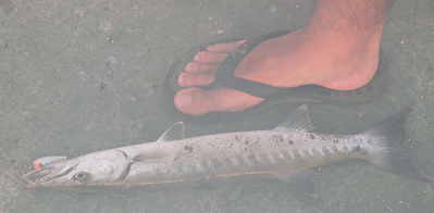 voyage cuba photo2