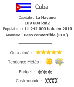 Overview