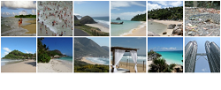 photos