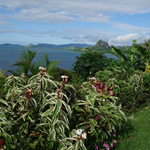 Îles Fidji