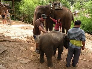 voyage thailande photo20