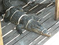 voyage thailande photo34