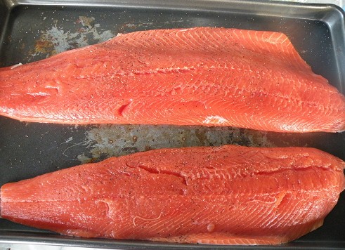 voyage alaska photo4