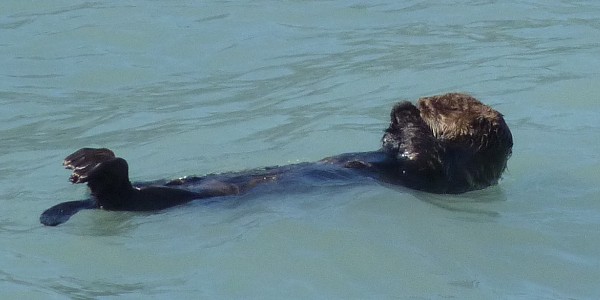 voyage alaska photo6