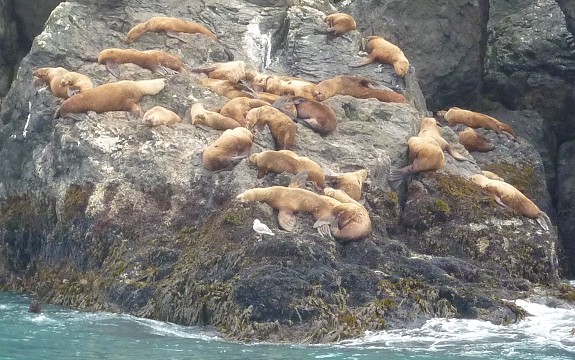 voyage alaska photo7