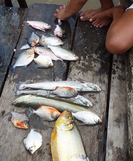voyage amazonie photo2