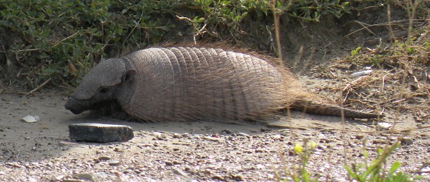 voyage argentine photo2