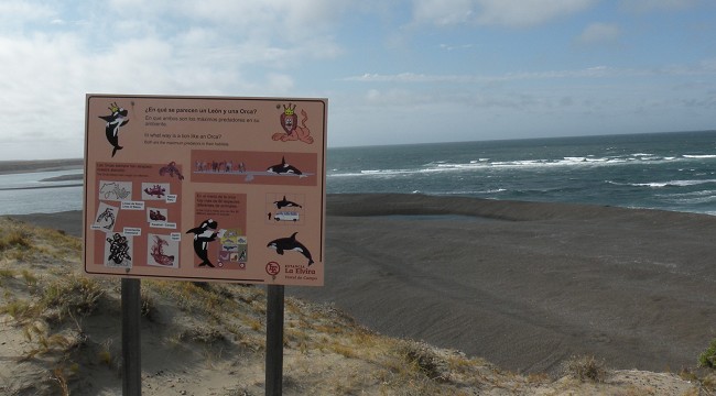 voyage argentine photo3