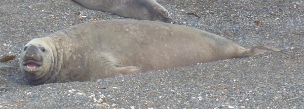 voyage argentine photo5