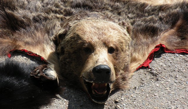 voyage canada photo1