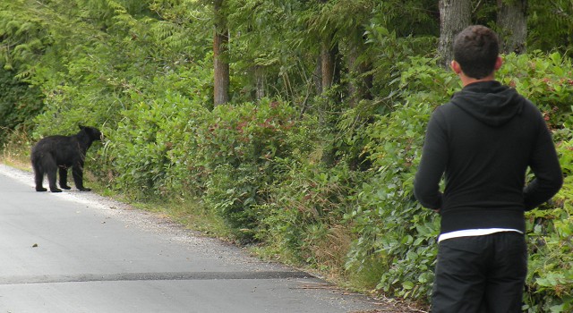 voyage canada photo2