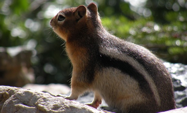 voyage canada photo6