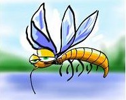 voyage canada photo7