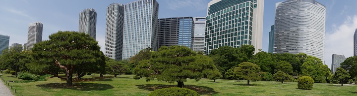 voyage japon photo7