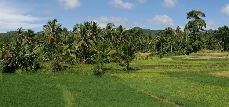voyage philippines photo9