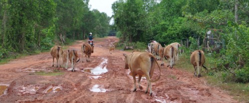 voyage vietnam photo21