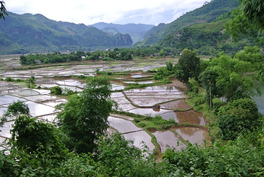 voyage vietnam photo3