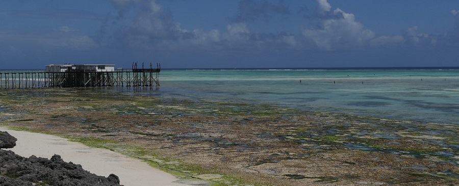 voyage zanzibar photo4